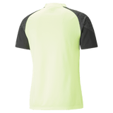PUMA IndividualCup Training Jersey - Best Buy Soccer