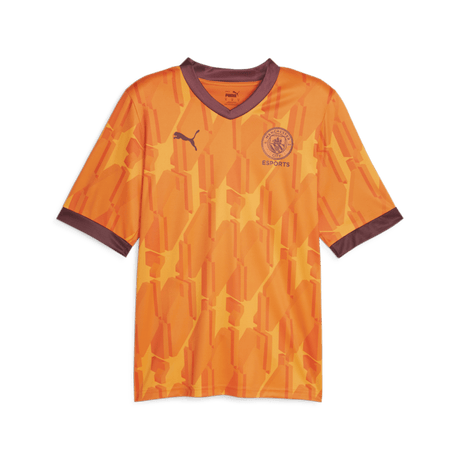 PUMA Manchester City Esports Jersey - Best Buy Soccer