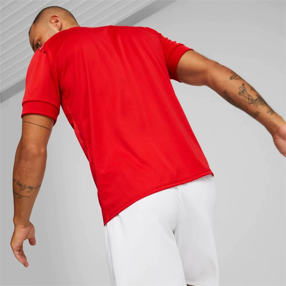 PUMA Men's Switzerland Home Jersey 2022/2023 Red - Best Buy Soccer