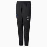 PUMA Neymar JR Thrill Training Pant - Best Buy Soccer